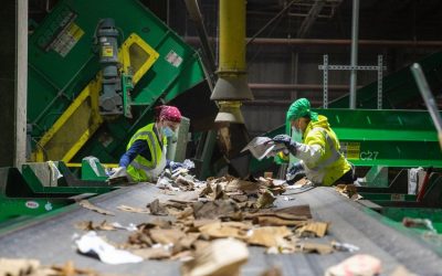 Brookhaven recycling center reopens after $7.5M overhaul