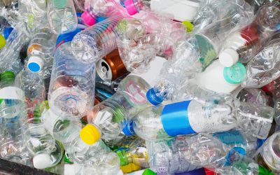 Culture shift needed to increase recycling